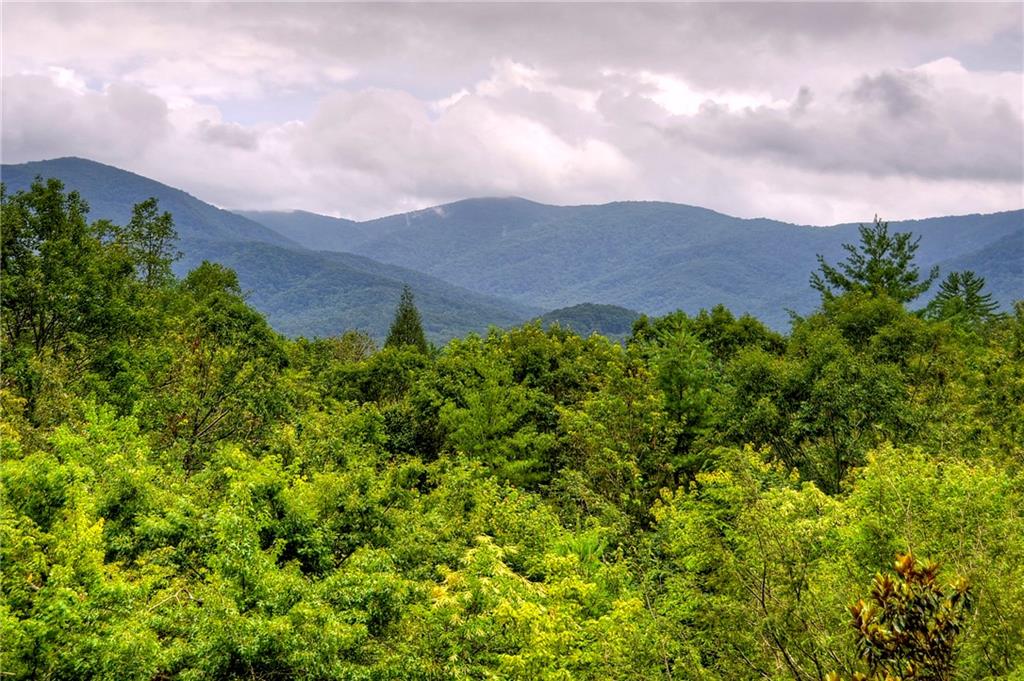 The North Georgia Mountain Town of Cherry Log!