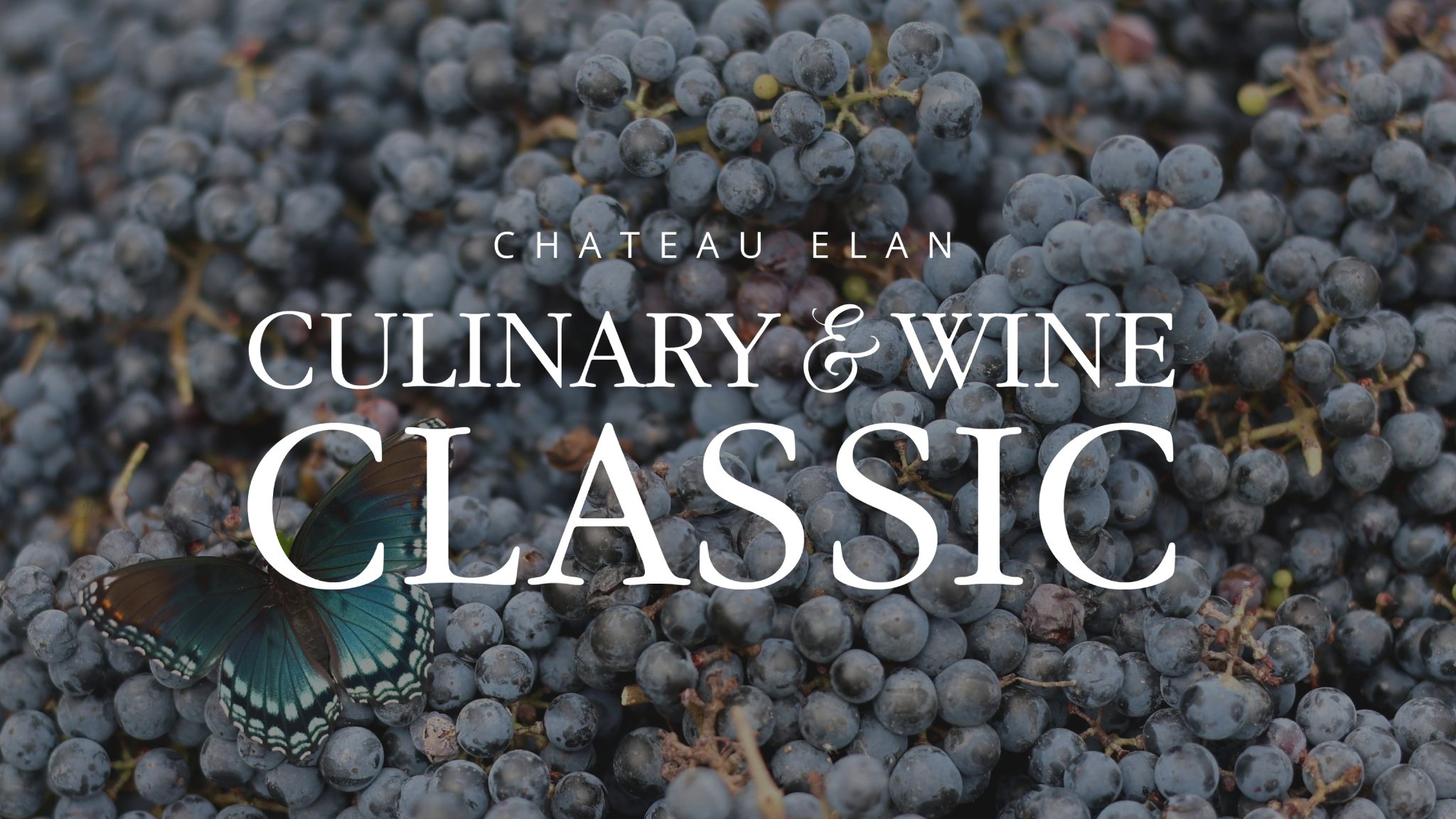 Chateau Elan Culinary & Wine Classic 2024